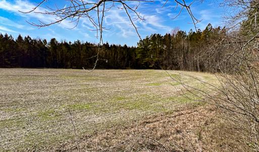 Photo #6 of SOLD property in OFF Western Mill Road , Lawrenceville, VA 40.0 acres