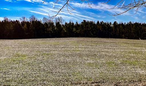 Photo #7 of SOLD property in OFF Western Mill Road , Lawrenceville, VA 40.0 acres