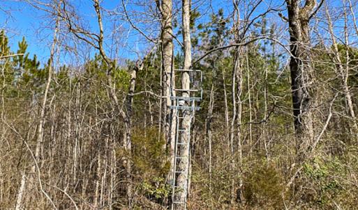 Photo #9 of SOLD property in OFF Western Mill Road , Lawrenceville, VA 40.0 acres