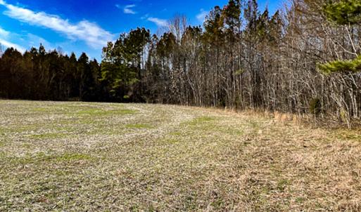 Photo #10 of SOLD property in OFF Western Mill Road , Lawrenceville, VA 40.0 acres