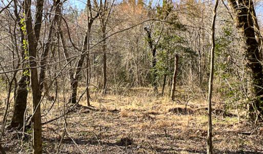 Photo #15 of SOLD property in OFF Western Mill Road , Lawrenceville, VA 40.0 acres