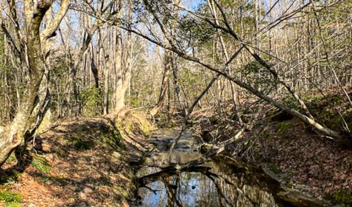 Photo #24 of SOLD property in OFF Western Mill Road , Lawrenceville, VA 40.0 acres