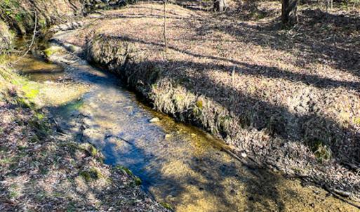 Photo #25 of SOLD property in OFF Western Mill Road , Lawrenceville, VA 40.0 acres