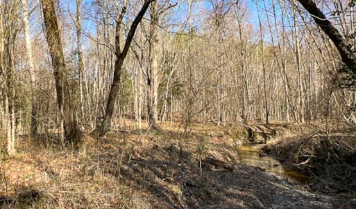 Photo #30 of SOLD property in OFF Western Mill Road , Lawrenceville, VA 40.0 acres