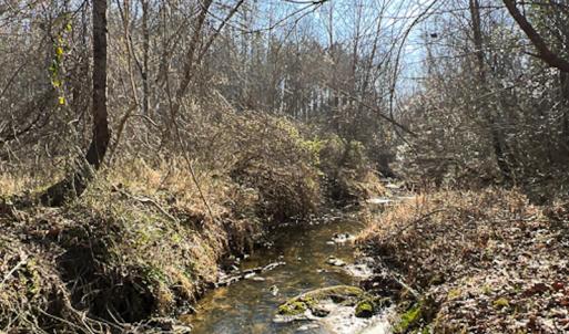 Photo #33 of SOLD property in OFF Western Mill Road , Lawrenceville, VA 40.0 acres