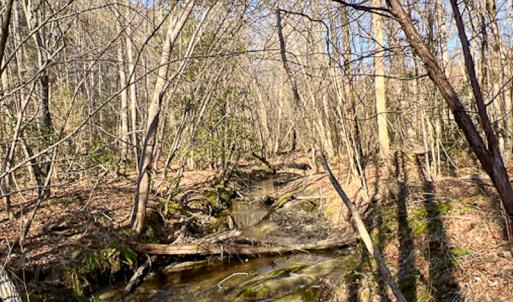 Photo #34 of SOLD property in OFF Western Mill Road , Lawrenceville, VA 40.0 acres