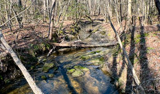 Photo #35 of OFF Western Mill Road , Lawrenceville, VA 40.0 acres