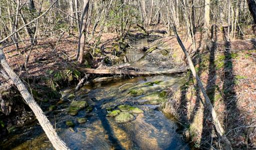Photo #35 of SOLD property in OFF Western Mill Road , Lawrenceville, VA 40.0 acres