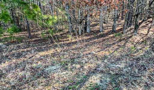 Photo #40 of OFF Western Mill Road , Lawrenceville, VA 40.0 acres