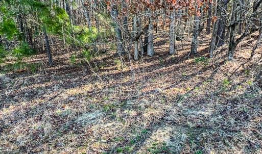 Photo #40 of SOLD property in OFF Western Mill Road , Lawrenceville, VA 40.0 acres