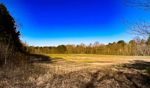 Photo #41 of SOLD property in OFF Western Mill Road , Lawrenceville, VA 40.0 acres