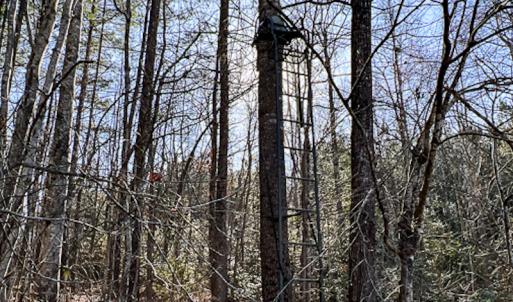 Photo #42 of SOLD property in OFF Western Mill Road , Lawrenceville, VA 40.0 acres