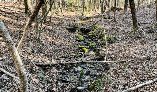 Photo #43 of SOLD property in OFF Western Mill Road , Lawrenceville, VA 40.0 acres