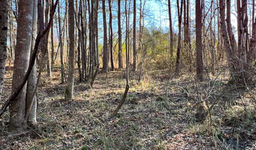 Photo #46 of SOLD property in OFF Western Mill Road , Lawrenceville, VA 40.0 acres