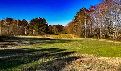 Photo #48 of SOLD property in OFF Western Mill Road , Lawrenceville, VA 40.0 acres