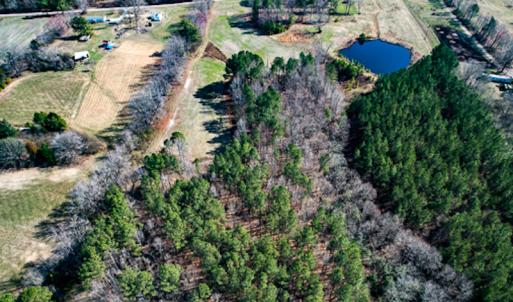 Photo #51 of SOLD property in OFF Western Mill Road , Lawrenceville, VA 40.0 acres