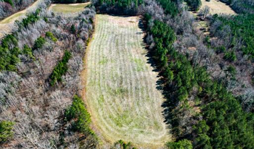 Photo #52 of SOLD property in OFF Western Mill Road , Lawrenceville, VA 40.0 acres