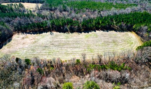 Photo #53 of SOLD property in OFF Western Mill Road , Lawrenceville, VA 40.0 acres