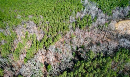 Photo #54 of SOLD property in OFF Western Mill Road , Lawrenceville, VA 40.0 acres
