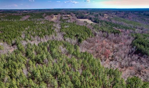 Photo #57 of SOLD property in OFF Western Mill Road , Lawrenceville, VA 40.0 acres