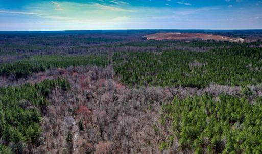 Photo #58 of SOLD property in OFF Western Mill Road , Lawrenceville, VA 40.0 acres