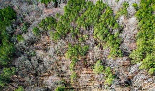 Photo #63 of SOLD property in OFF Western Mill Road , Lawrenceville, VA 40.0 acres
