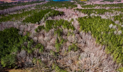 Photo #64 of SOLD property in OFF Western Mill Road , Lawrenceville, VA 40.0 acres