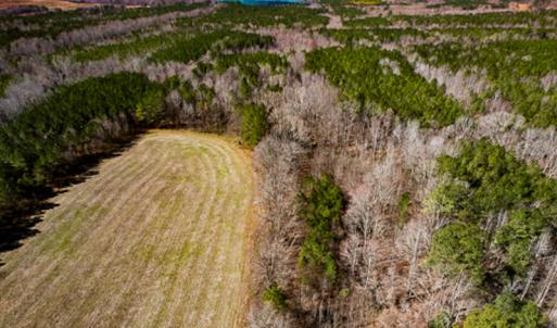 Photo #65 of SOLD property in OFF Western Mill Road , Lawrenceville, VA 40.0 acres
