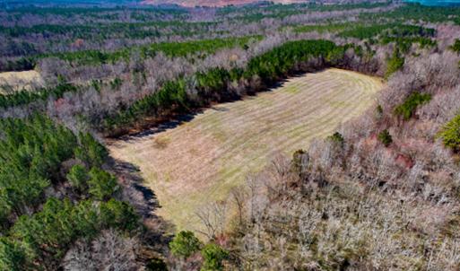 Photo #66 of SOLD property in OFF Western Mill Road , Lawrenceville, VA 40.0 acres
