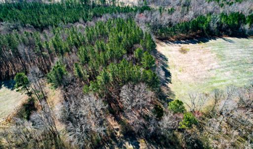 Photo #67 of SOLD property in OFF Western Mill Road , Lawrenceville, VA 40.0 acres