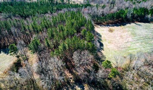 Photo #67 of OFF Western Mill Road , Lawrenceville, VA 40.0 acres