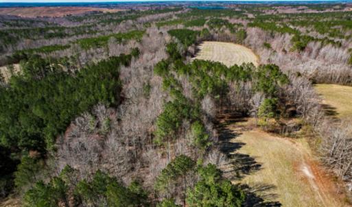 Photo #4 of SOLD property in OFF Western Mill Road , Lawrenceville, VA 40.0 acres