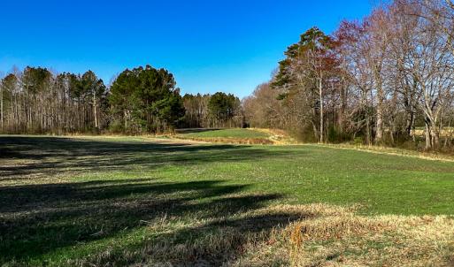 Photo #68 of SOLD property in OFF Western Mill Road , Lawrenceville, VA 40.0 acres