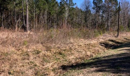 Photo #2 of Off Kelly Rd.  , Bath, NC 15.0 acres