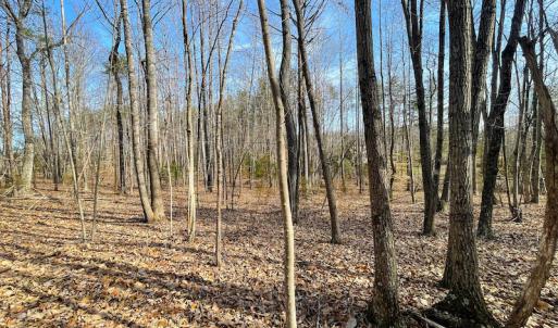 Photo #10 of Off Rapidan Hills Dr., Locust Grove, VA 2.8 acres
