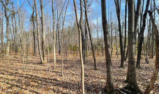 Photo #10 of SOLD property in Off Rapidan Hills Dr., Locust Grove, VA 2.8 acres