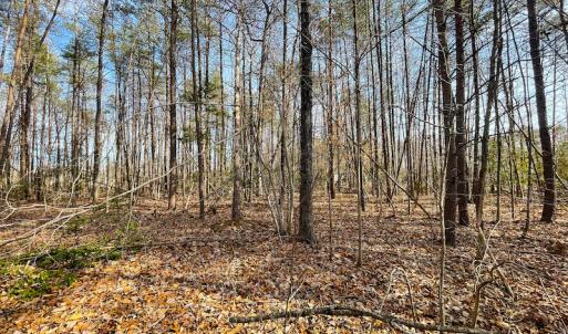 Photo #11 of Off Rapidan Hills Dr., Locust Grove, VA 2.8 acres