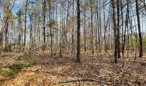 Photo #11 of SOLD property in Off Rapidan Hills Dr., Locust Grove, VA 2.8 acres