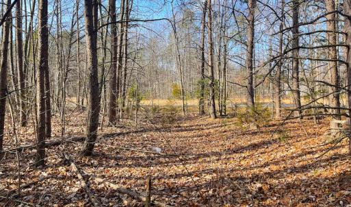 Photo #13 of SOLD property in Off Rapidan Hills Dr., Locust Grove, VA 2.8 acres