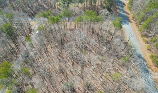 Photo #4 of Off Rapidan Hills Dr., Locust Grove, VA 2.8 acres