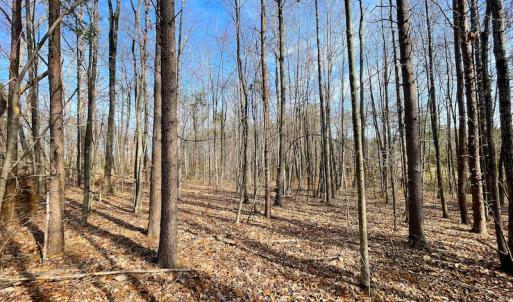 Photo #9 of SOLD property in Off Rapidan Hills Dr., Locust Grove, VA 2.8 acres