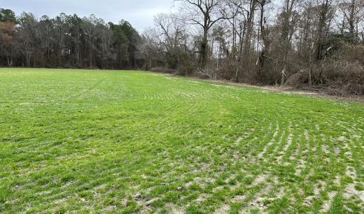 Photo #8 of SOLD property in Off St. Johns Church Road, Goldsboro, NC 111.2 acres