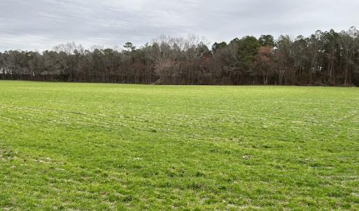 Photo #9 of SOLD property in Off St. Johns Church Road, Goldsboro, NC 111.2 acres