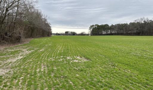 Photo #10 of SOLD property in Off St. Johns Church Road, Goldsboro, NC 111.2 acres