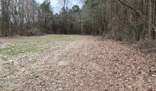 Photo #11 of SOLD property in Off St. Johns Church Road, Goldsboro, NC 111.2 acres