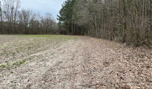 Photo #12 of Off St. Johns Church Road, Goldsboro, NC 111.2 acres
