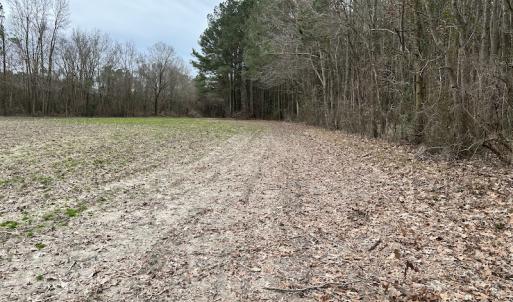 Photo #12 of SOLD property in Off St. Johns Church Road, Goldsboro, NC 111.2 acres