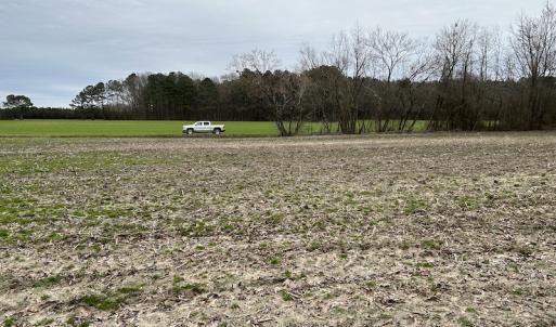 Photo #13 of SOLD property in Off St. Johns Church Road, Goldsboro, NC 111.2 acres