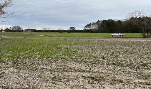 Photo #14 of Off St. Johns Church Road, Goldsboro, NC 111.2 acres