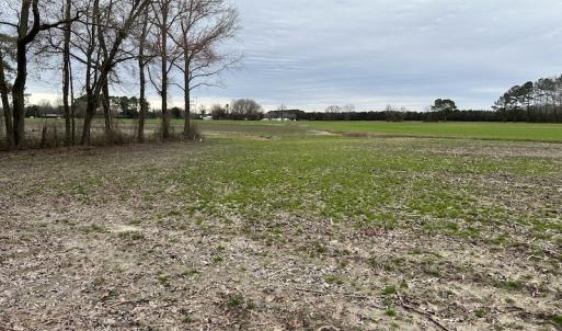 Photo #15 of SOLD property in Off St. Johns Church Road, Goldsboro, NC 111.2 acres